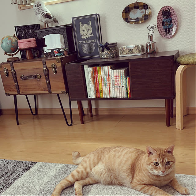 chiiさんの実例写真