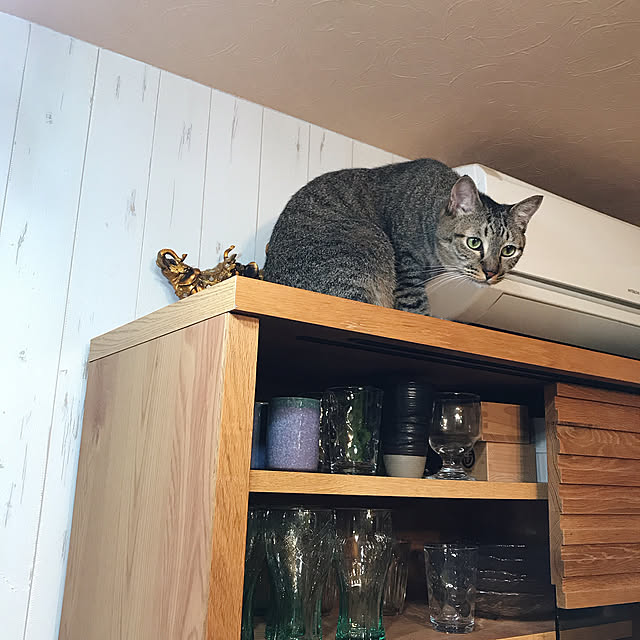 pepeさんの実例写真