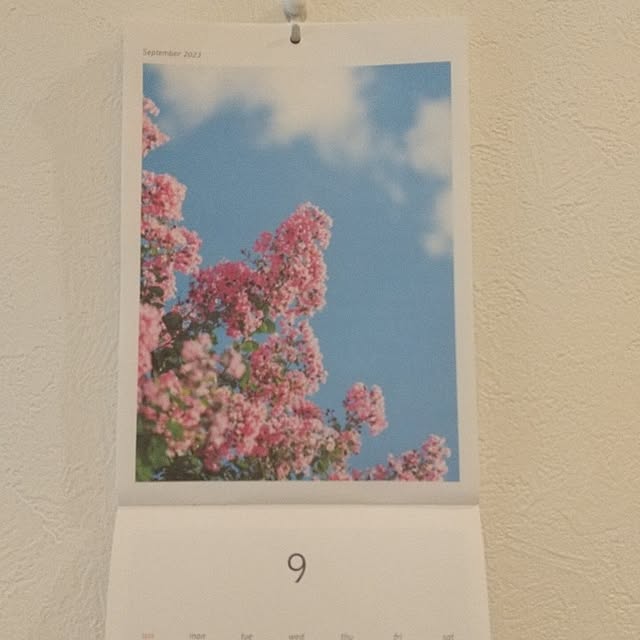 Rさんの実例写真