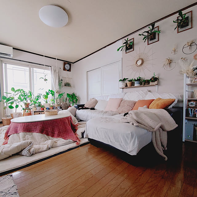 部屋全体/マクラメ/観葉植物のある暮らし/ボタニカルインテリア/観葉植物...などのインテリア実例 - 2023-02-05 19:45:45