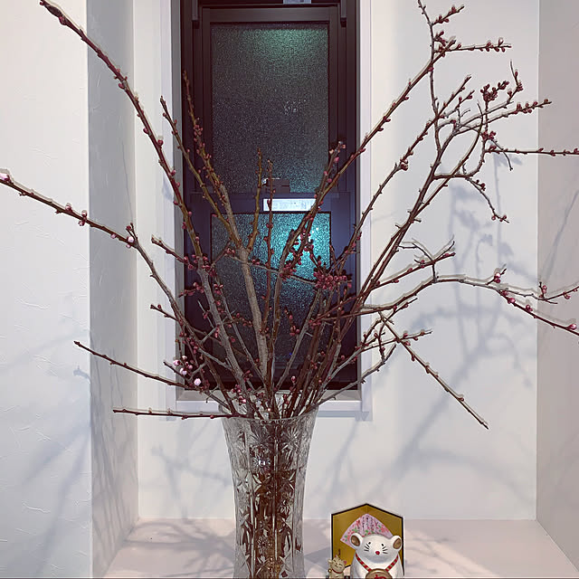 sakusakuさんの実例写真