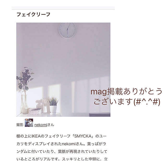 nekomiさんの実例写真