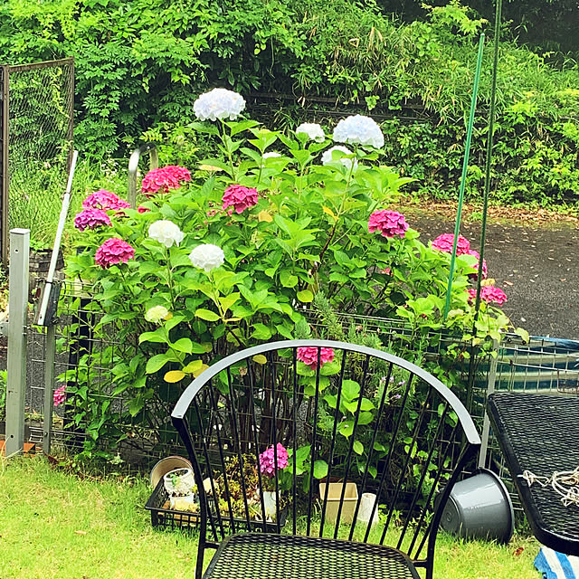 実例写真