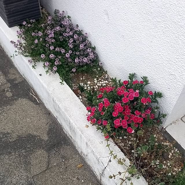 minnieさんの実例写真