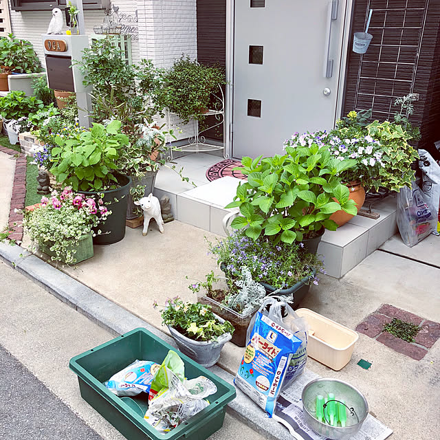 suzyさんの実例写真