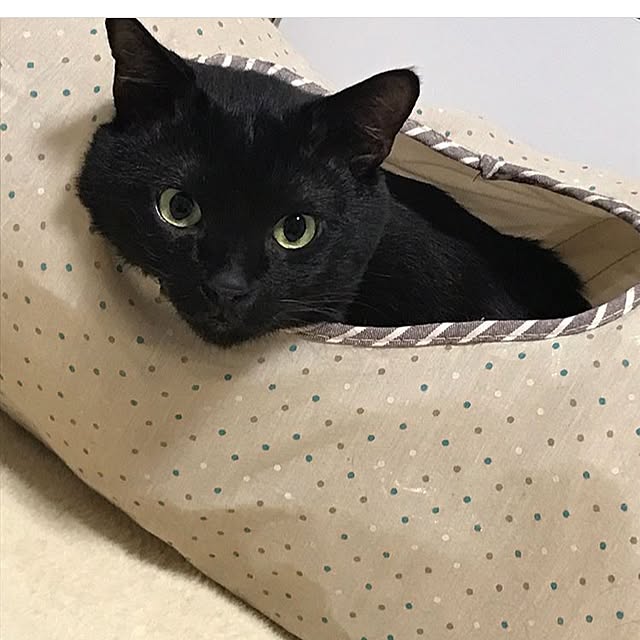 jasmine03さんの実例写真