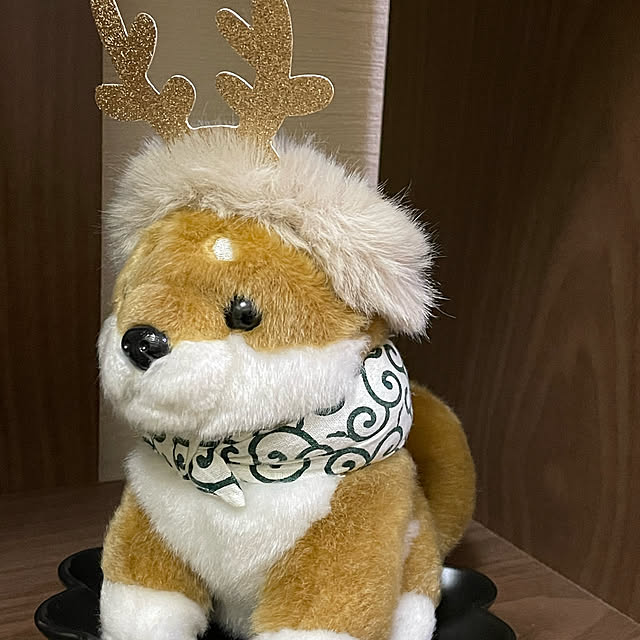 aureaさんの実例写真