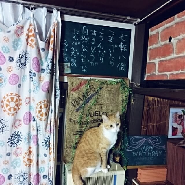 nrsim+kmymさんの実例写真