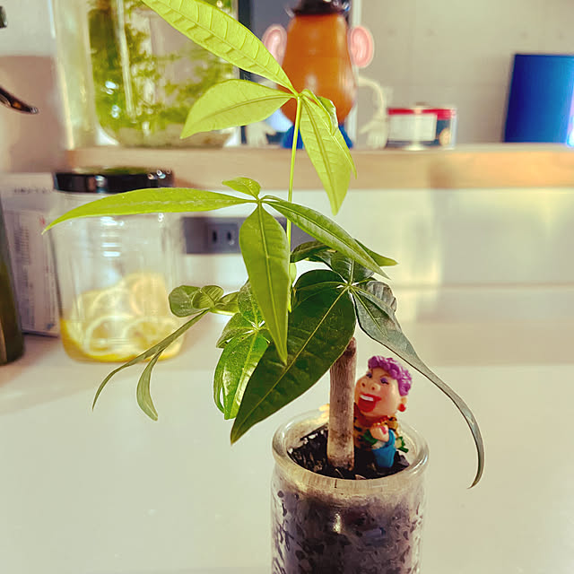 K-houseさんの実例写真
