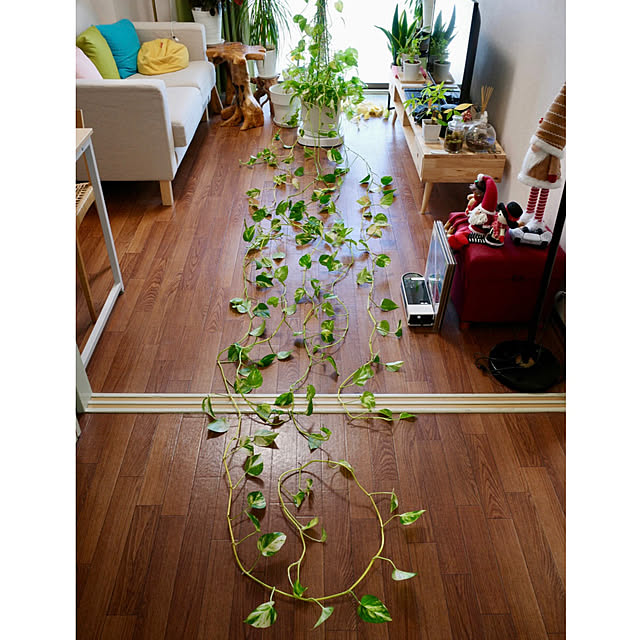 dadarikaさんの部屋