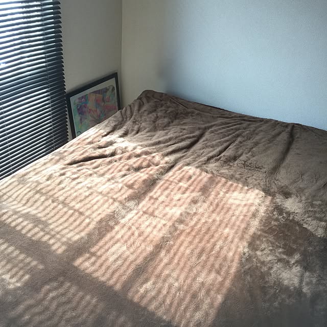 majoさんの実例写真