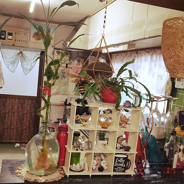 mitz_ann16さんの実例写真