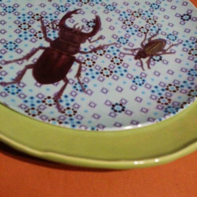 acaさんの実例写真