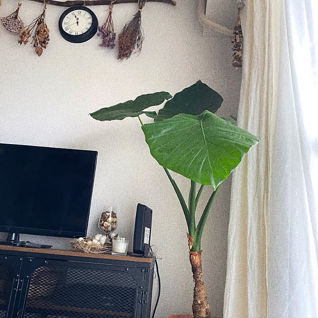 ai_my_meさんの実例写真