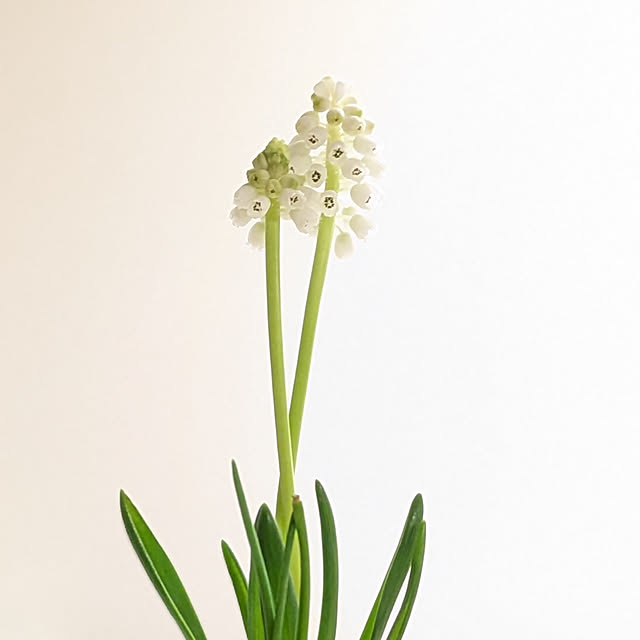 yukkin29さんの部屋