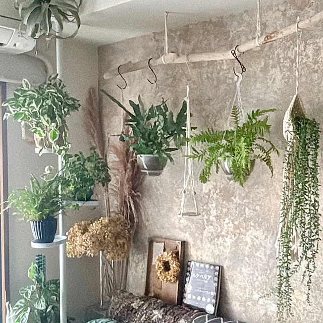 REI015mさんの実例写真