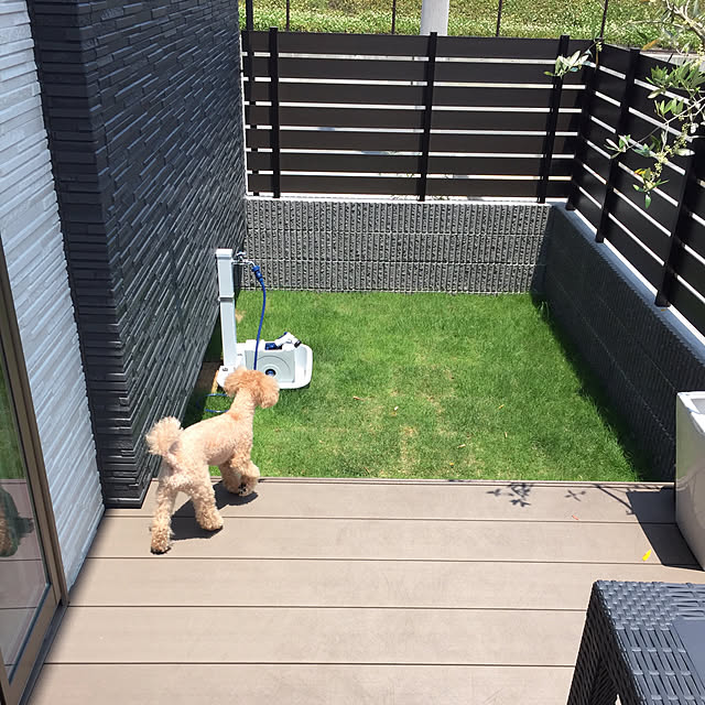 n_homeさんの実例写真