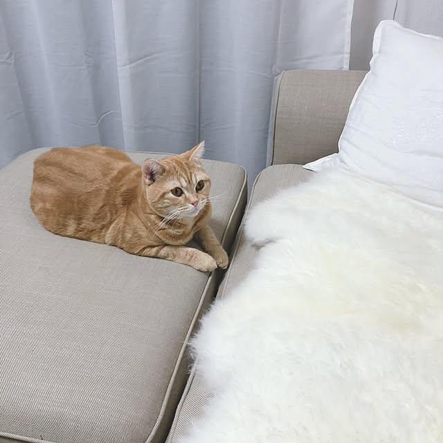Atelier.mさんの実例写真
