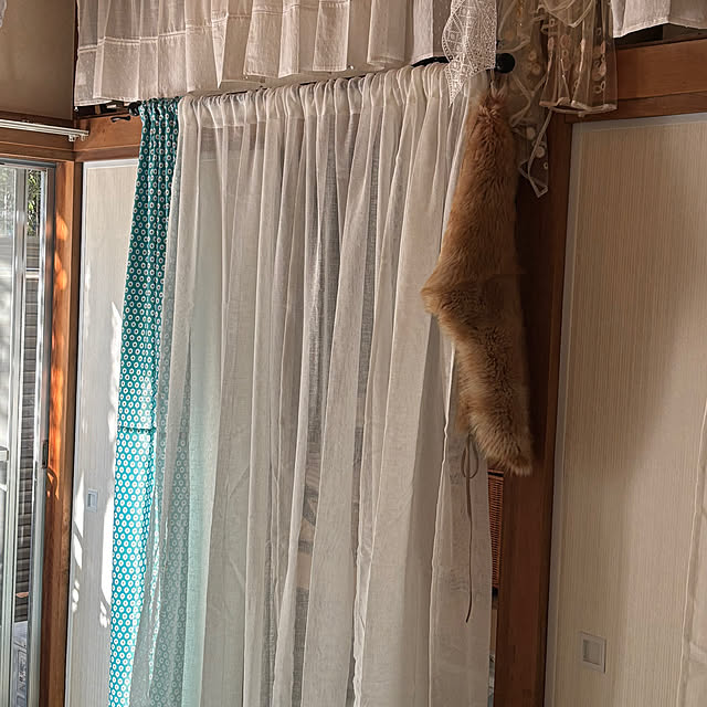 canetteさんの部屋