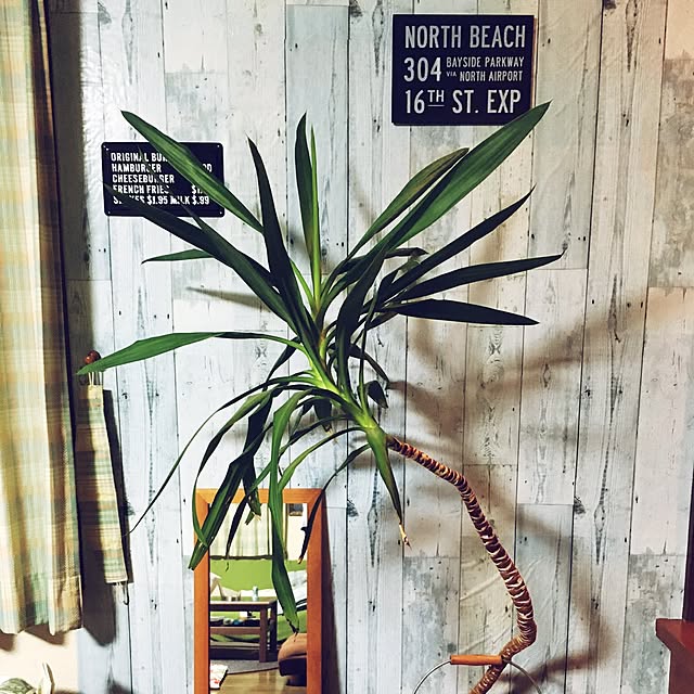 壁/天井/観葉植物/100均/DIY/セリアのインテリア実例 - 2016-12-03 20:28:35