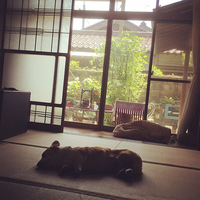 実例写真