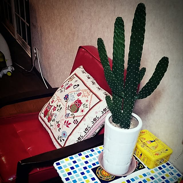 maamaさんの実例写真