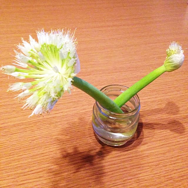 Kyokoさんの実例写真