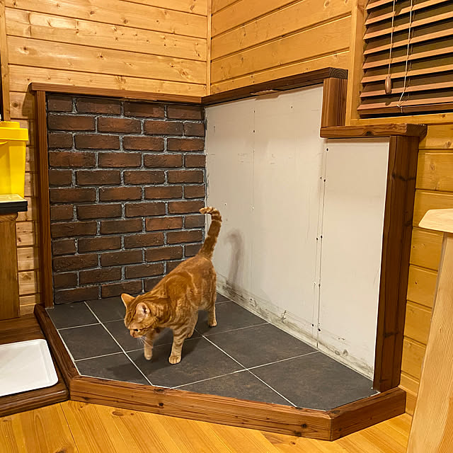 Let-s-DoDoDoさんの実例写真