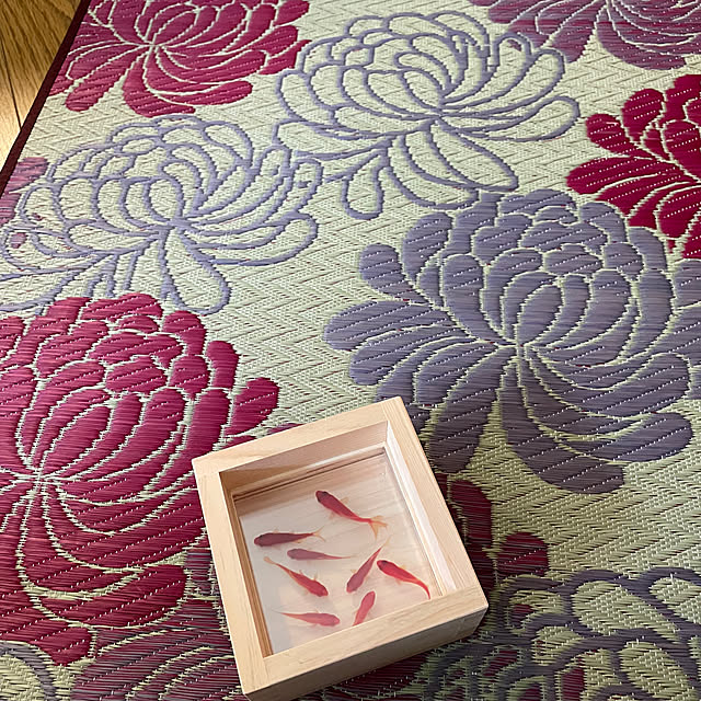 mamizaさんの部屋