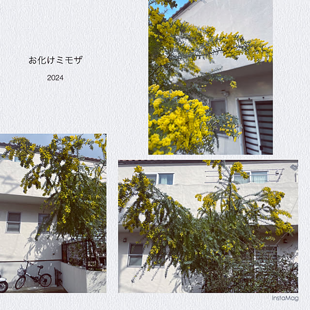 yupponさんの部屋