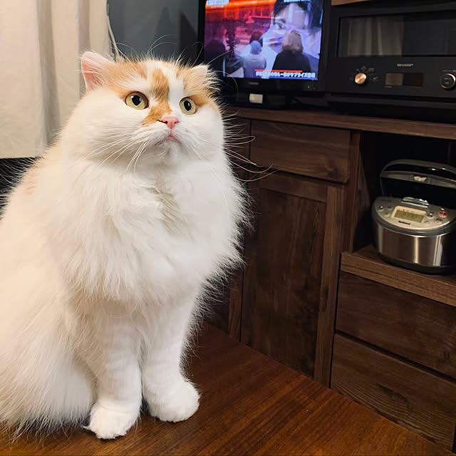 keiさんの実例写真