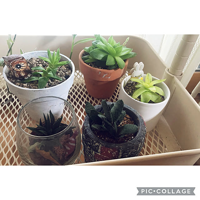 CoCo0617さんの部屋