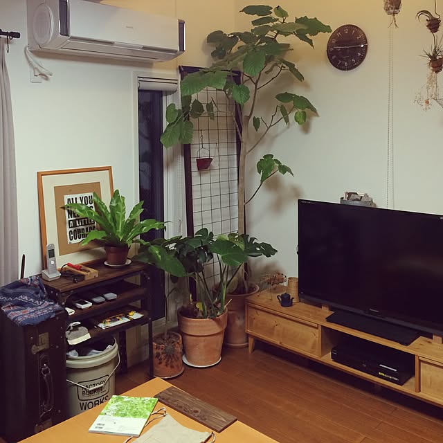 goakihatomo54526さんの実例写真