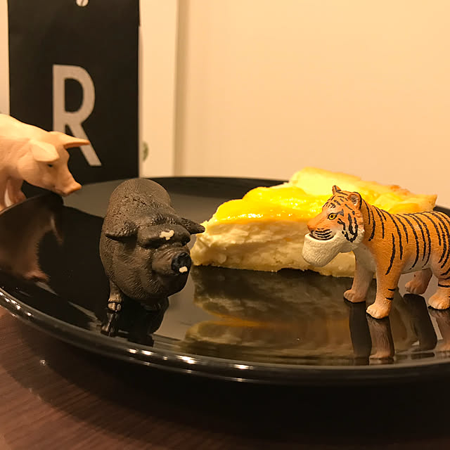 riakanaさんの実例写真