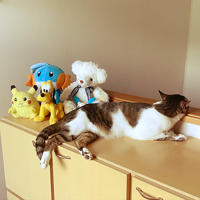 haruminさんの実例写真