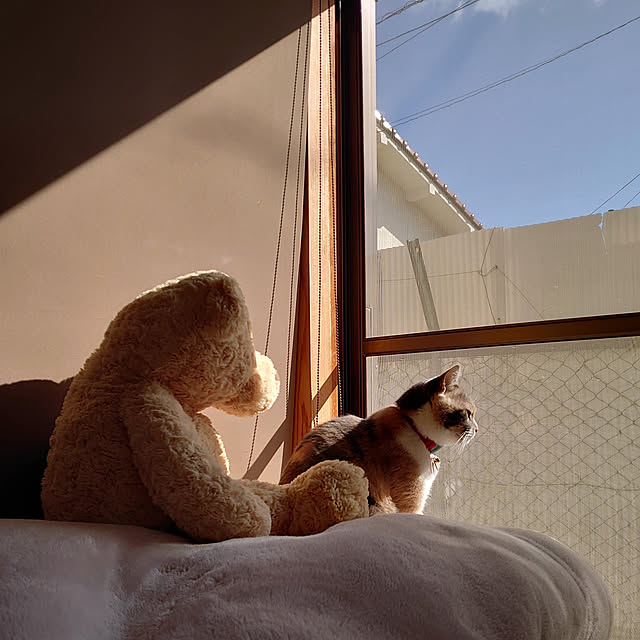 fukuさんの実例写真