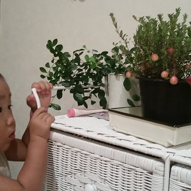nia1213さんの実例写真