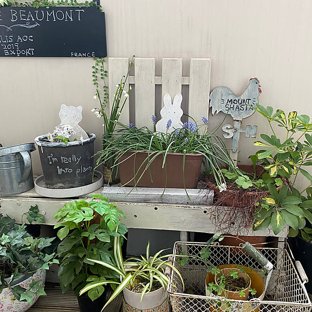 mamiさんの実例写真