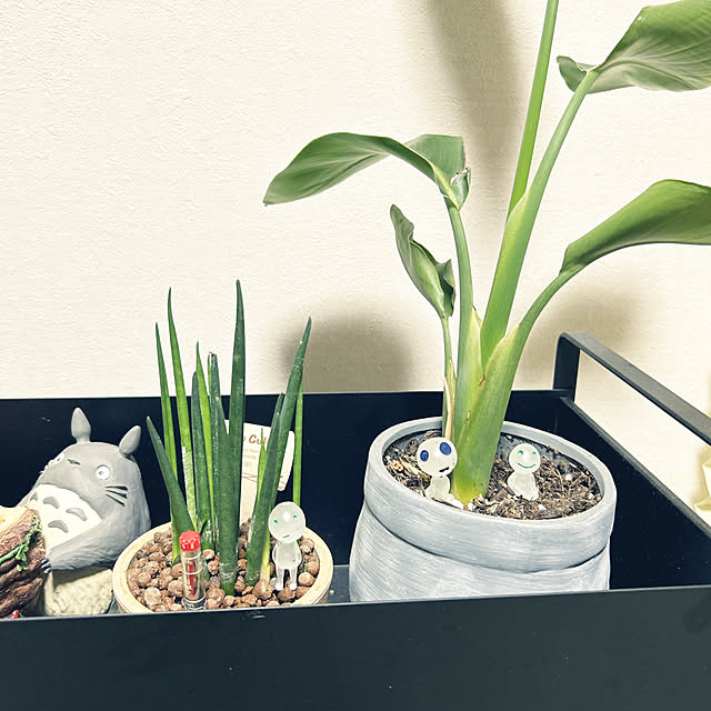yunyumさんの部屋