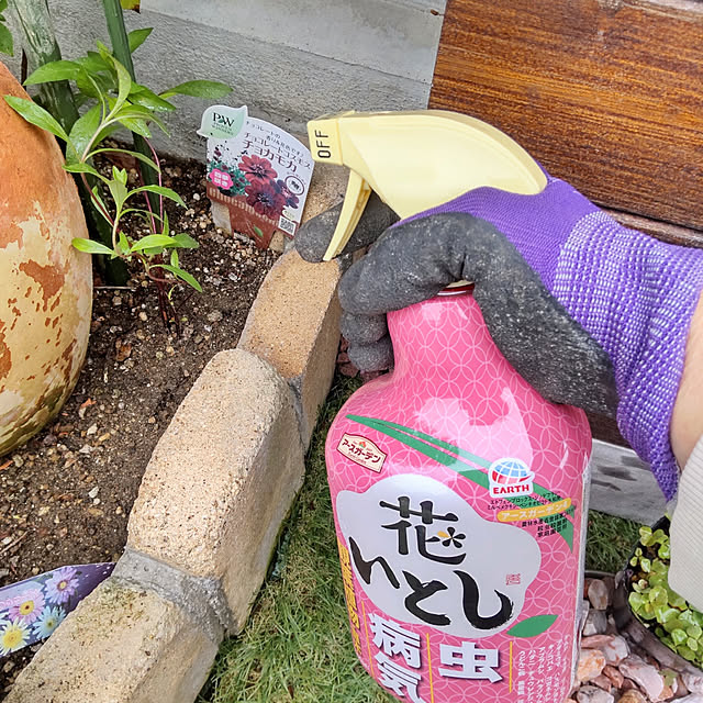 ampinさんの実例写真