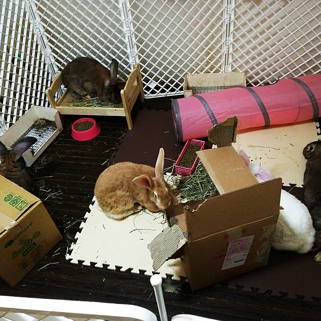Mikaさんの実例写真