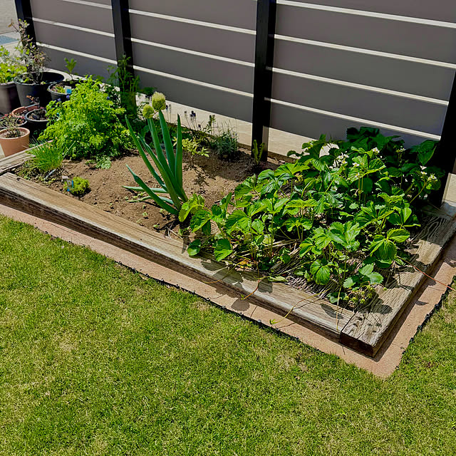 kurinokiさんの実例写真