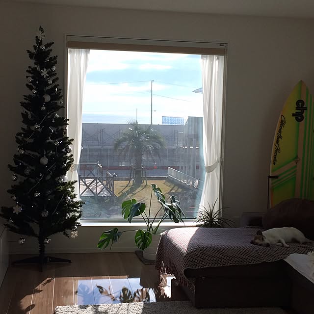 michiさんの実例写真