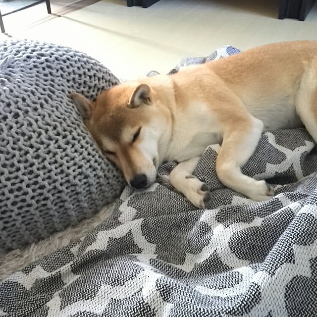 kさんの実例写真
