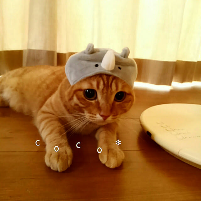 mayutan.さんの実例写真