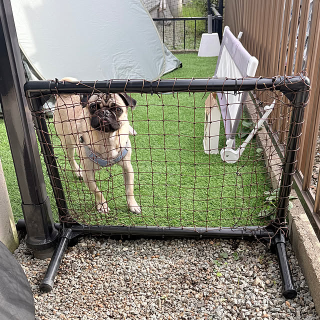 mid0konさんの部屋