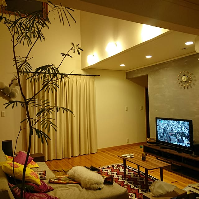 musaさんの実例写真