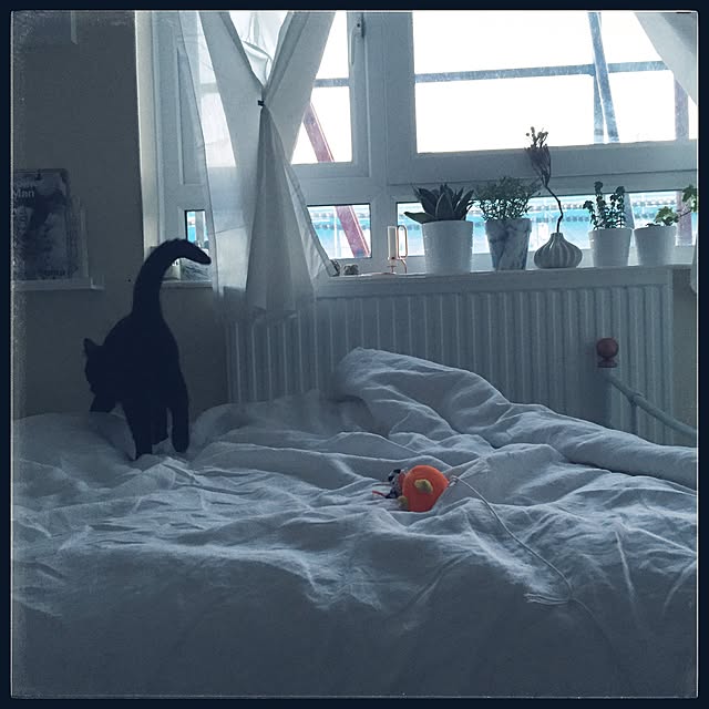 awachan77さんの実例写真