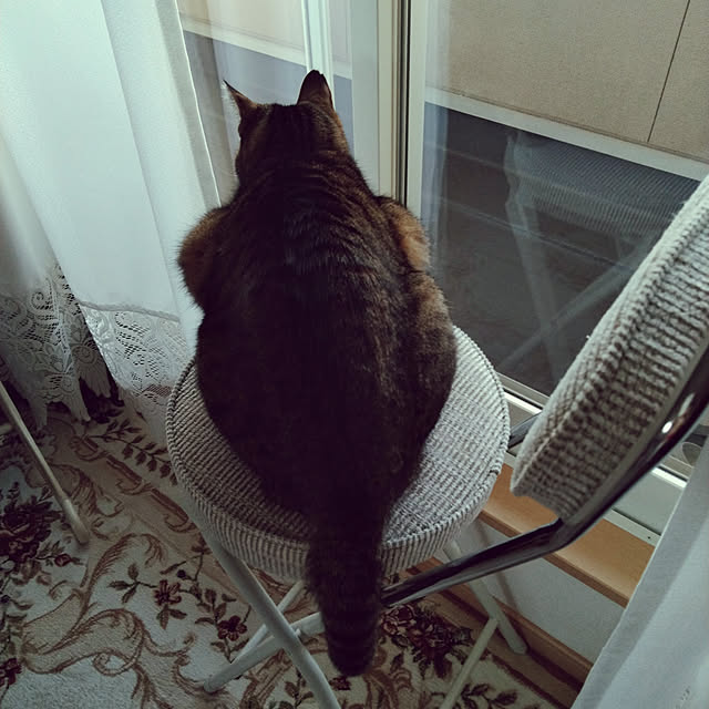 lilyさんの実例写真