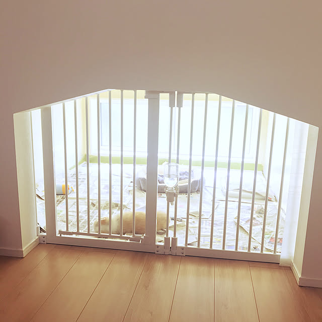 kkmomさんの実例写真